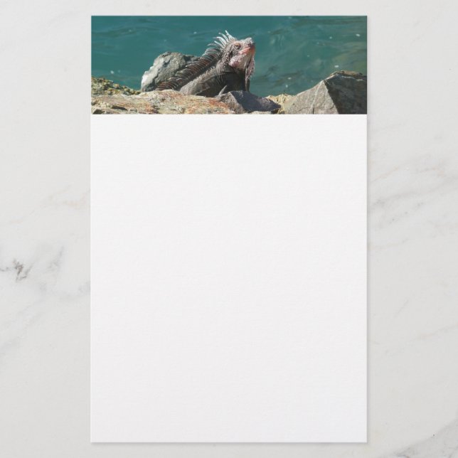 Papeterie Iguana à St Thomas (Devant)