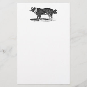Papeterie Illustration vintage de chien de border collie de