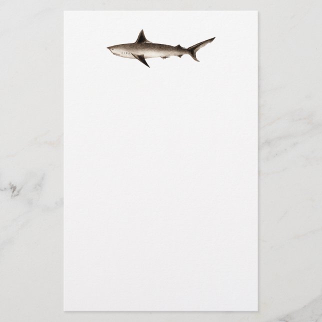 Papeterie Illustration vintage de requin - rétro modèle de (Devant)