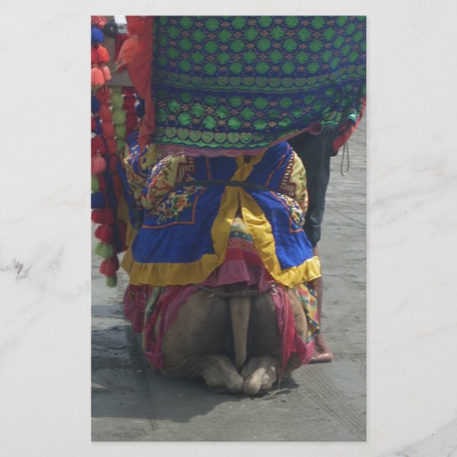 Papeterie Imprimé/graphique en forme de chameau (Devant)