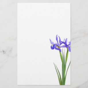 Papeterie Iris pourpre