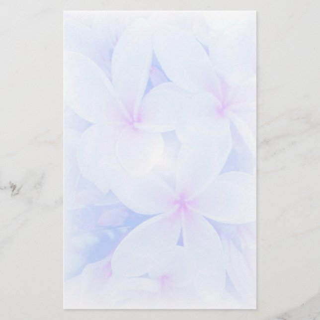 Papeterie Jardin de natures (Devant)