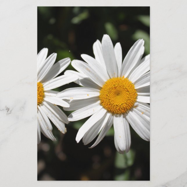 Papeterie Joli blanc fleur marguerite (Devant)