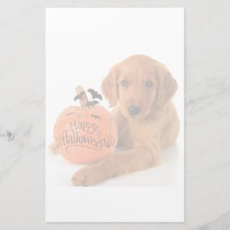 Papeterie Joli Chiot Halloween Avec Un Citrouille