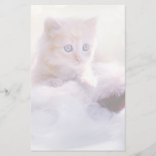 Papeterie Joli Noël Kitten Faded Photographie