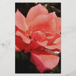 Papeterie Joli rose rose Peach floral