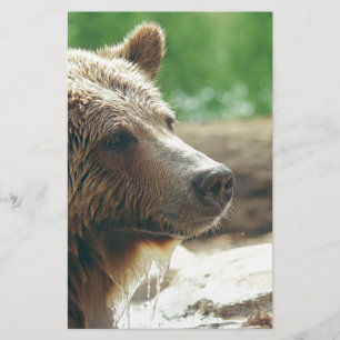 Papeterie Jolie nature adorable Ours Visage animal