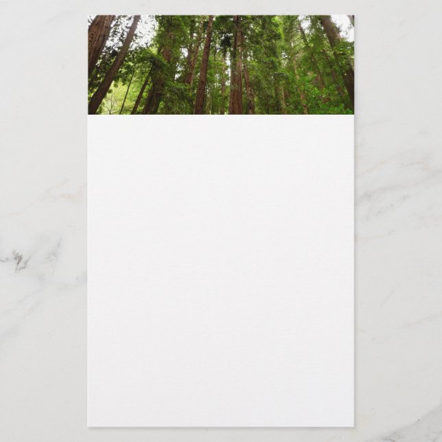 Papeterie Jusqu'aux séquoias I à Muir Woods National Monumen (Devant)