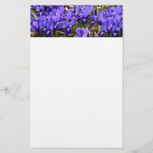 Papeterie Katherine Hodgkin Irises Printemps Violet Floral