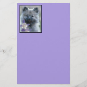 Papeterie Keeshond et Columbine - Photographie de Chien