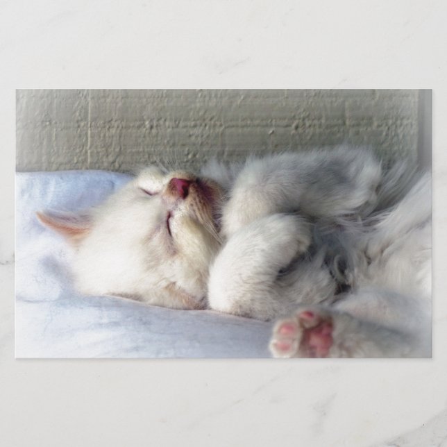 Papeterie Kitten endormi (Devant)
