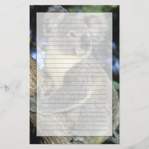 Papeterie Koala, Phascolarctos cinereus), Australie,