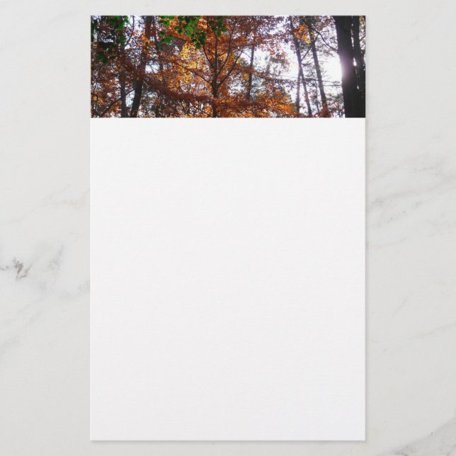 Papeterie La lumière du soleil dans l'arbre d'automne de la  (Devant)