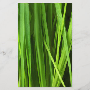 Papeterie Lames d'herbe