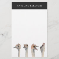 L'animal drôle d'oiseaux d'autruche | ajoutent