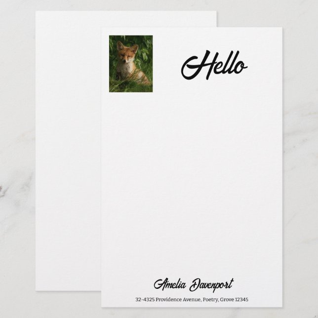 Papeterie Le chou renard dans une forêt verte (Devant / Derrière)