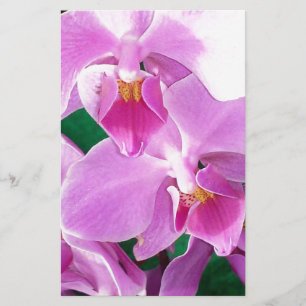 Papeterie Les fleurs d'orchidées se ferment en rose