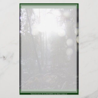 Papeterie Les rayons du soleil de la forêt dans la neige n°6