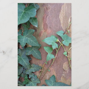 Papeterie lierre sur arbre