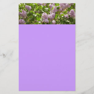 Papeterie Lilac Bush Belles fleurs de printemps violettes