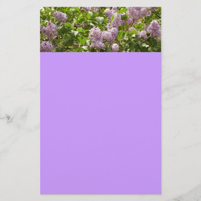 Papeterie Lilac Bush Belles fleurs de printemps violettes (Devant)