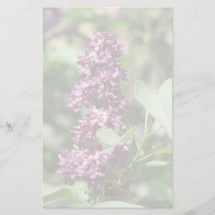 Papeterie Lilas doux