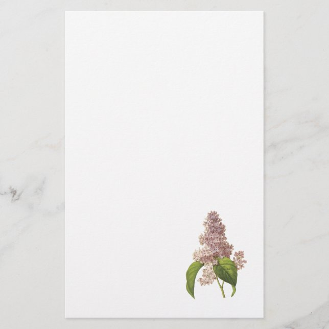 Papeterie lilas (espèces de Syringa) par Redouté (Devant)