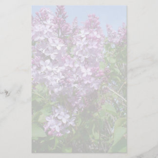 Papeterie Lilas pourpres Fade25