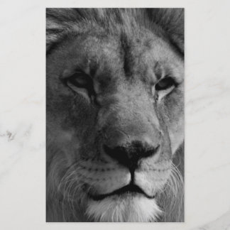 Papeterie Lion Noir & Blanc