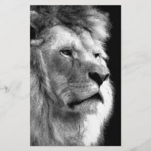 Papeterie Lion Noir Blanc