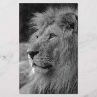 Papeterie Lion Noir & Blanc - Animal Sauvage