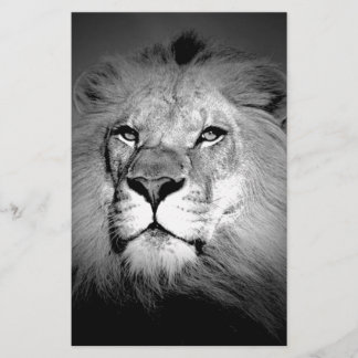 Papeterie Lion noir et blanc