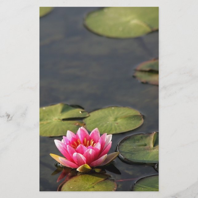 Papeterie lis de parc de balboa stationnaire (Devant)