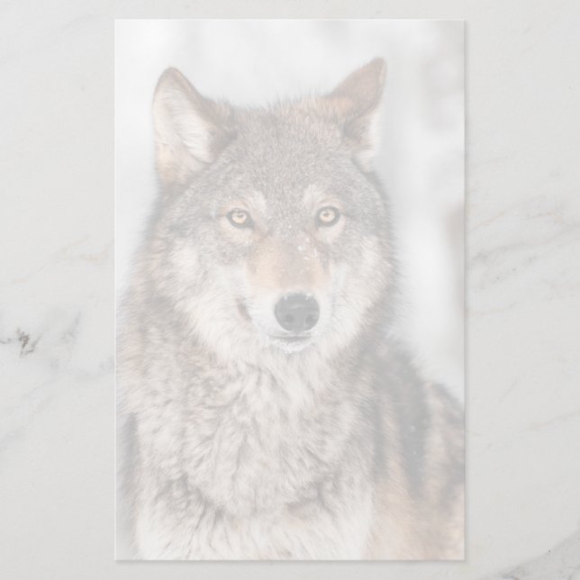 Papeterie Loup gris (Canis lupus) avec un dos d'oreille (Devant)
