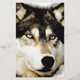 Papeterie Loup motivationnel unique