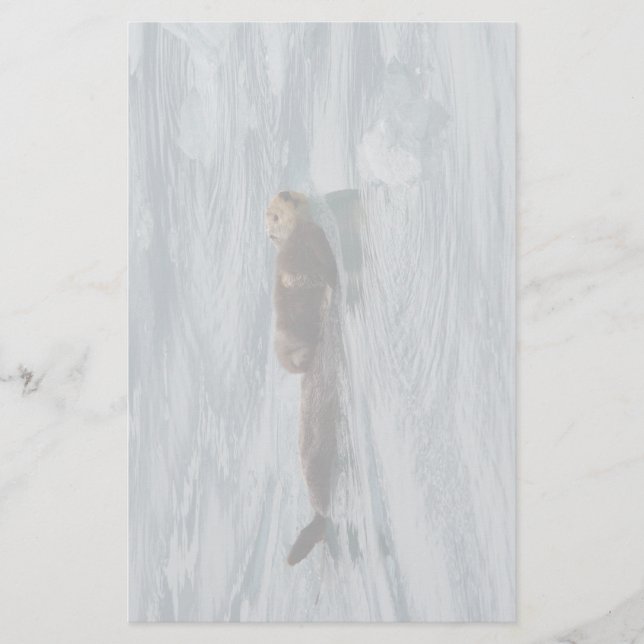 Papeterie loutre et chiot de mer (Devant)