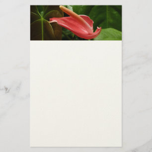 Papeterie Lys calla rose Élégant floral