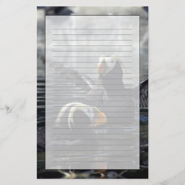 Papeterie Macareux huppés d'Alaska (Devant)