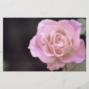 Papeterie Magnifique Rose rose