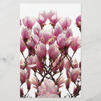 Papeterie Magnolias roses en fleurs Fleur de printemps