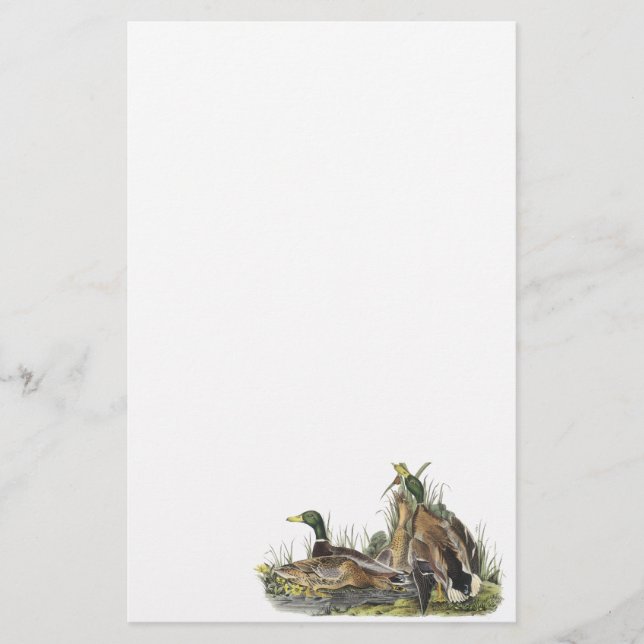 Papeterie Mallard, John Audubon (Devant)