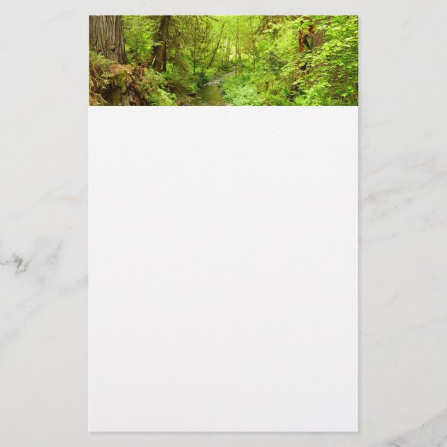 Papeterie Man Creek II perdu dans le parc national Redwood (Devant)