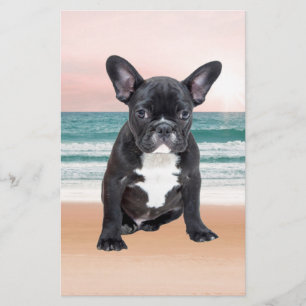 Papeterie Mare French Bulldog Beach Eau Soleil