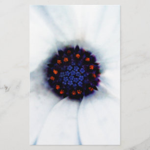 Papeterie Marguerite africaine