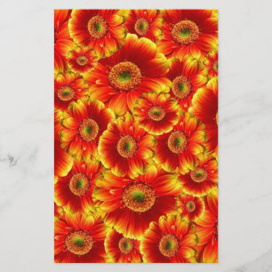 Papeterie Marguerites de Gerbera jaune et orange