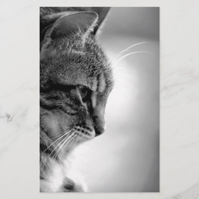 Papeterie Méditation de chats noir et blanc (Devant)