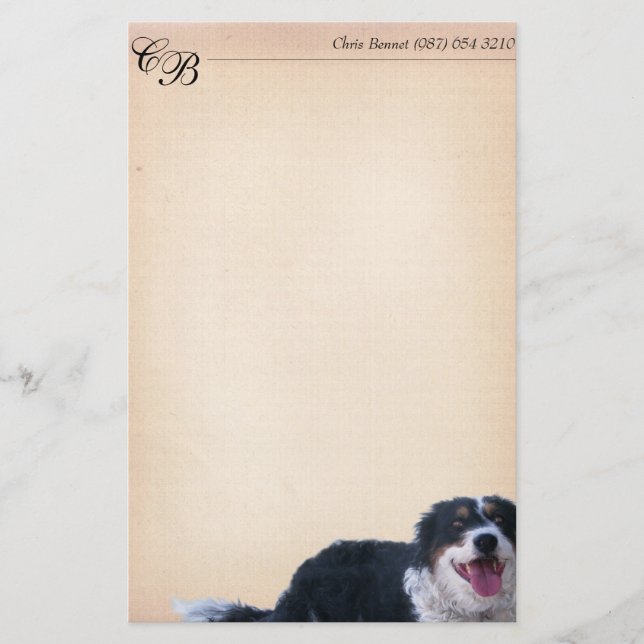 Papeterie Mélange Collie Bordure (Devant)