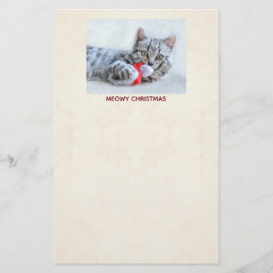 Papeterie Meowy Christmas Cute Grey Tabby Cat