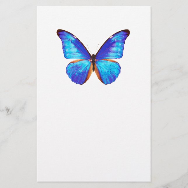 Papeterie “Morpho”の優良製品 (Devant)