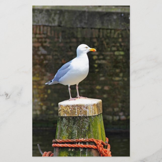 Papeterie Mouette (Devant)